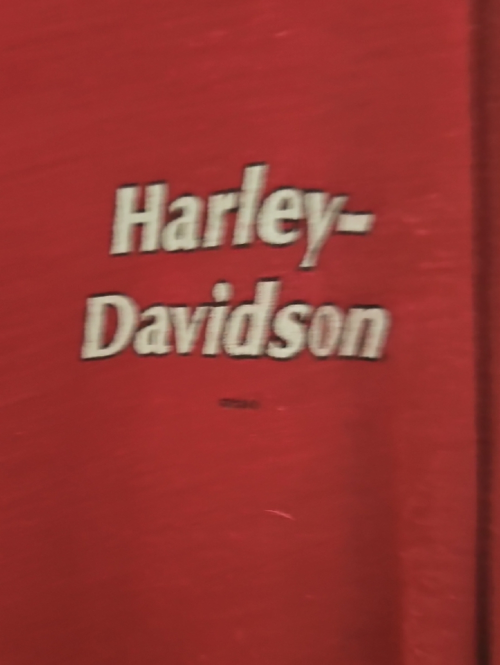 Harley Davidson Fans - Picture 3 of 4